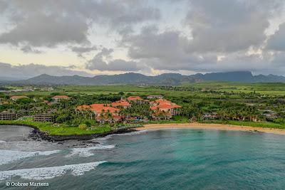 Sandee - Waiohai Beach