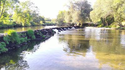 Sandee - Praia Fuvial