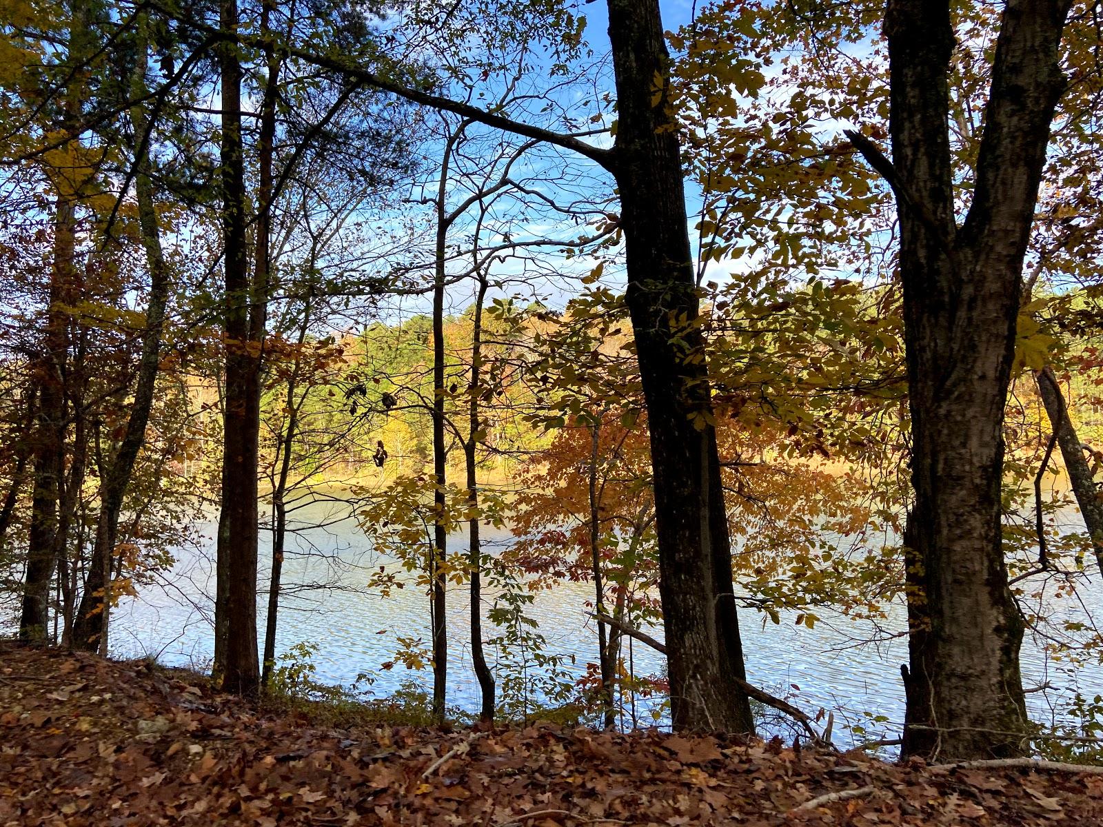 Sandee - Logan Martin Lake