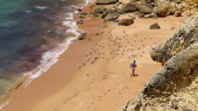 Sandee - Praia Da Ponta Grande