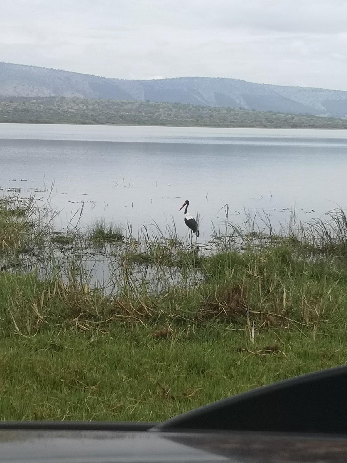 Sandee - Lake Rwanyakizinga