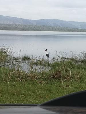 Sandee - Lake Rwanyakizinga