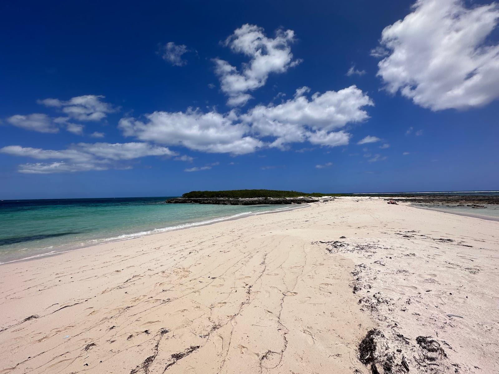 Sandee - Twin Cove Beach