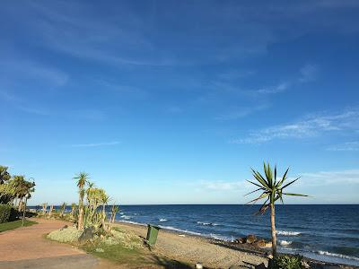 Sandee - Playa Guadalmansa