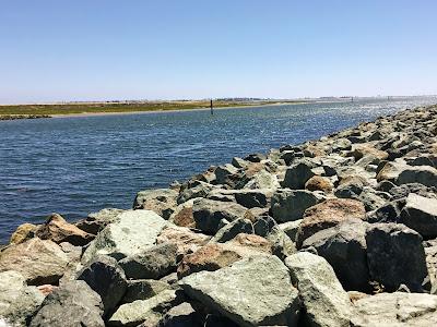 Sandee - Sweetwater Marsh