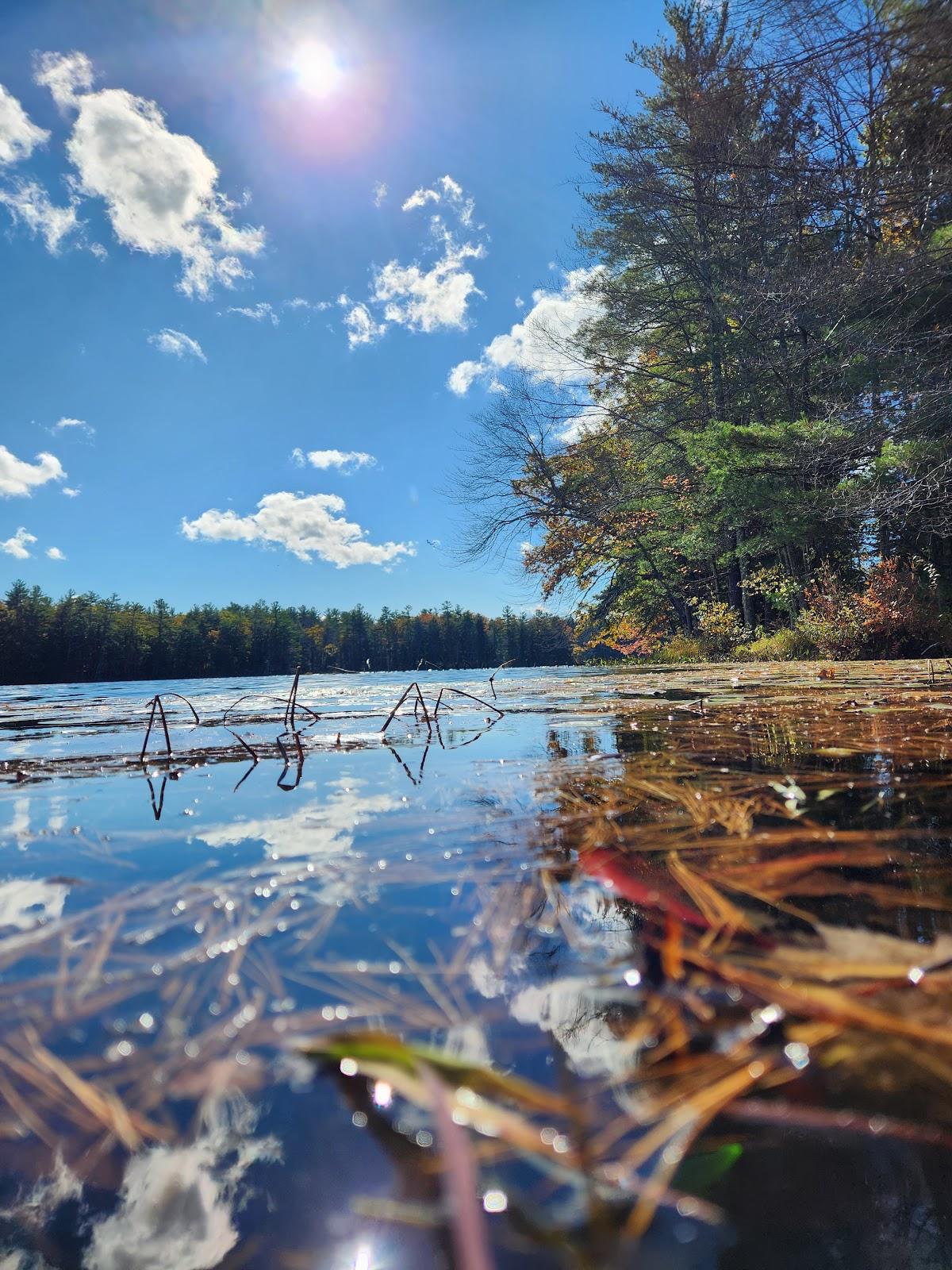 Sandee Lake Rohunta Photo