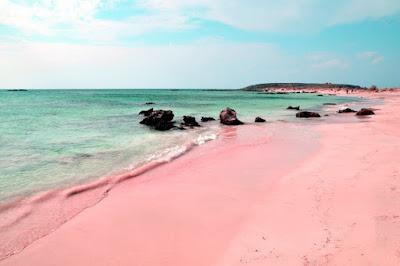 Sandee - Pink Sands Beach