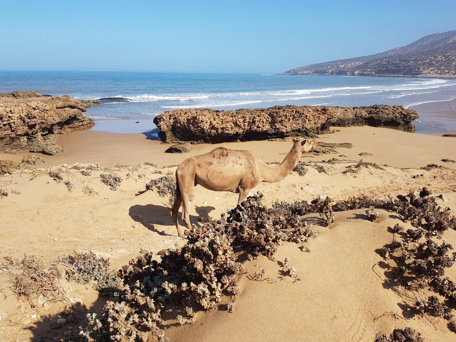 Sandee Plage