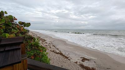 Sandee - Beach Sea Oaks