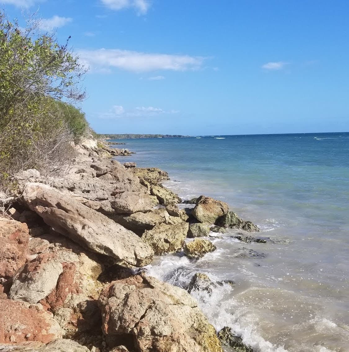 Sandee - Pelicano Beach