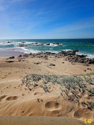 Sandee - Praia De Mindelo