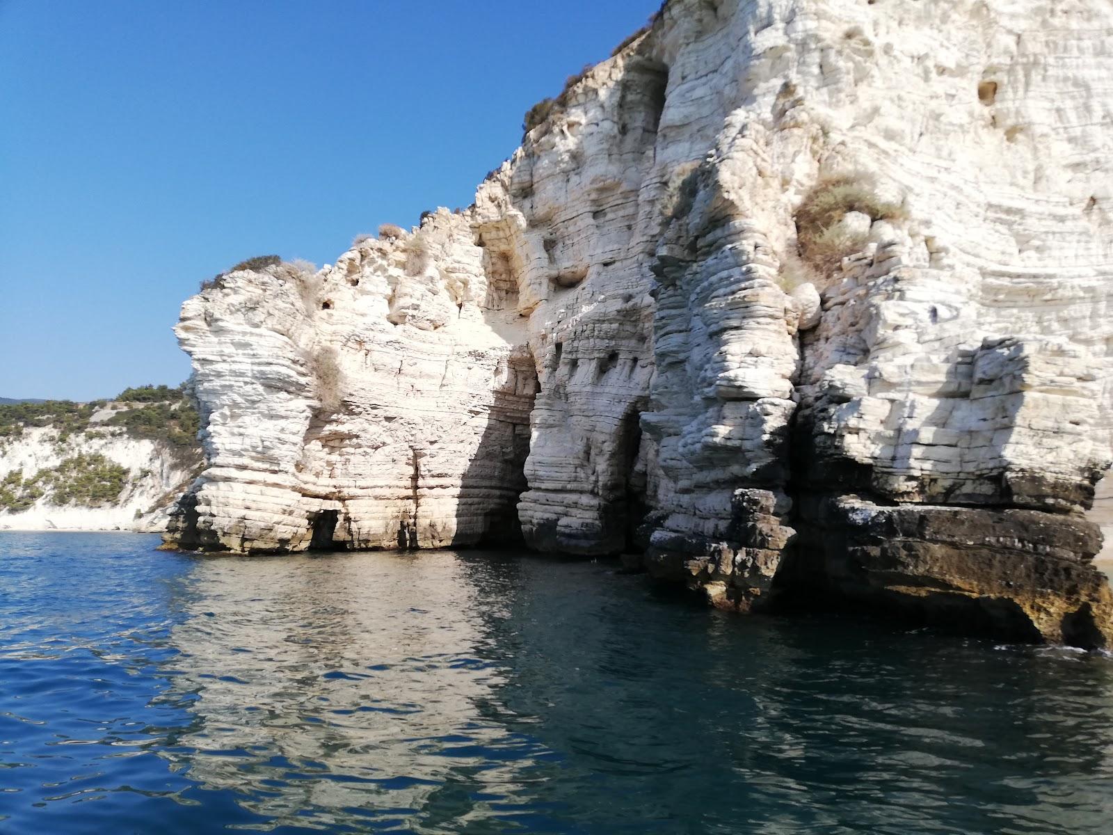 Sandee Cove Shark Photo