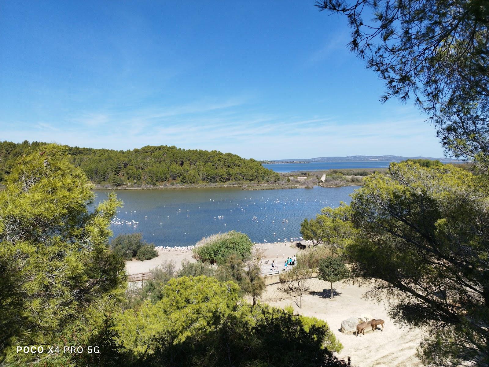 Sandee Mirador Reserva Photo