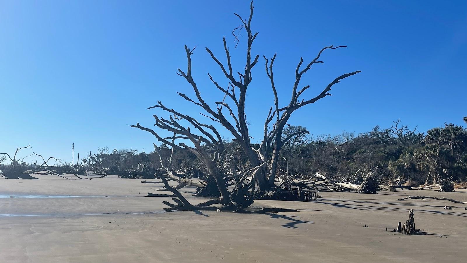 Sandee - Botany Bay