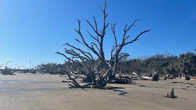 Sandee - Botany Bay