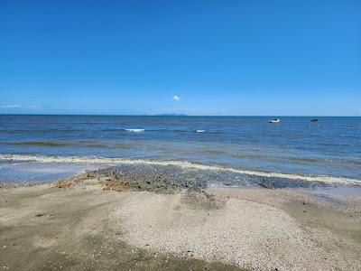 Sandee - Waireba Beach