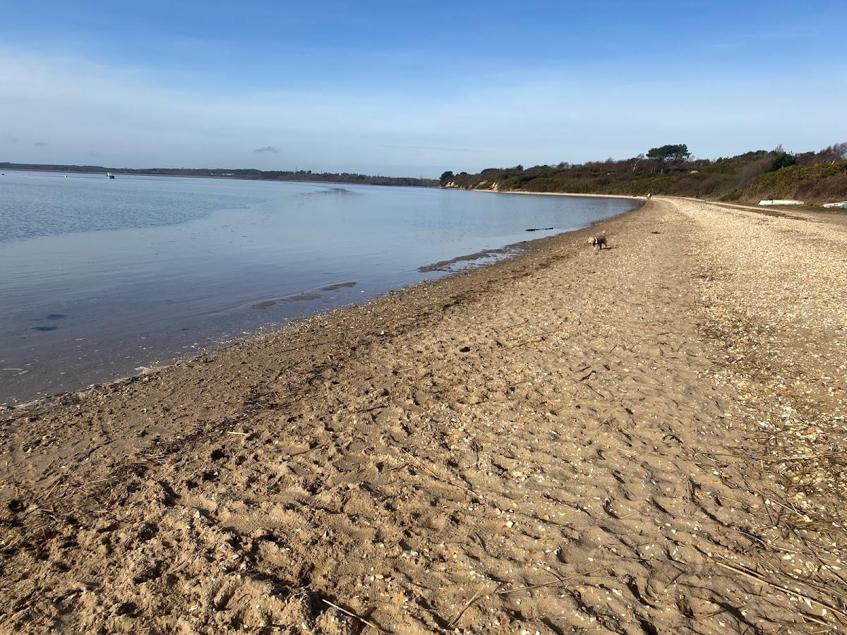 Sandee Lake Beach Photo