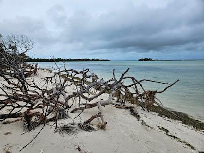 Sandee - Sandspur Beach