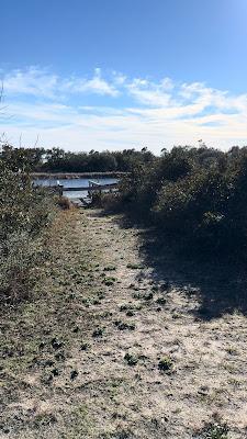 Sandee - Sherman Cove Beach