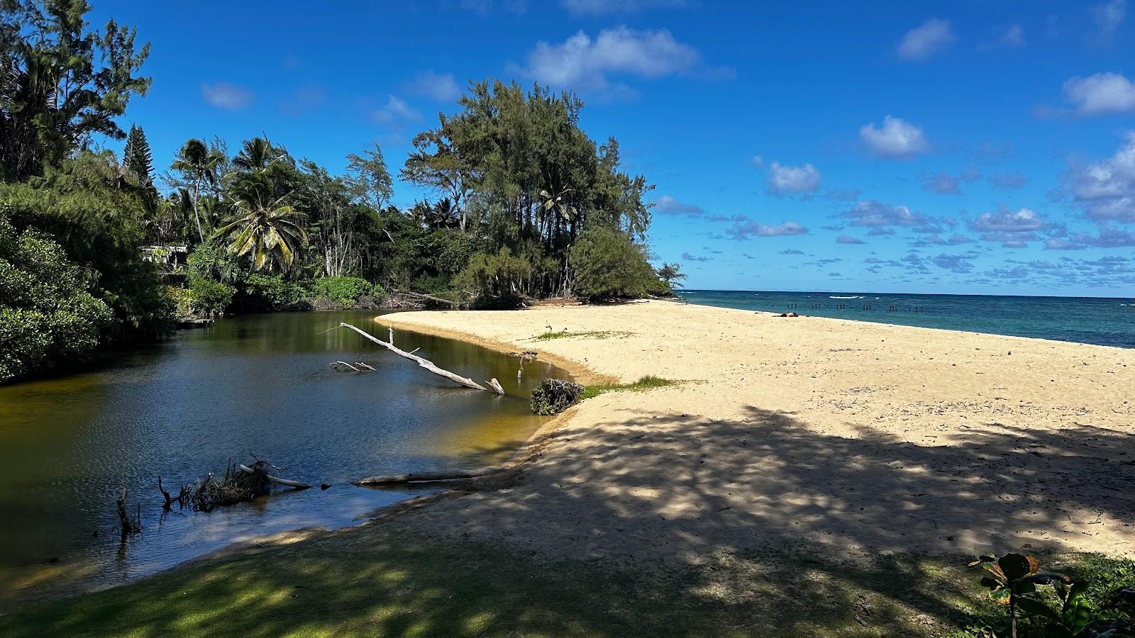 Sandee - Laie Beach Park