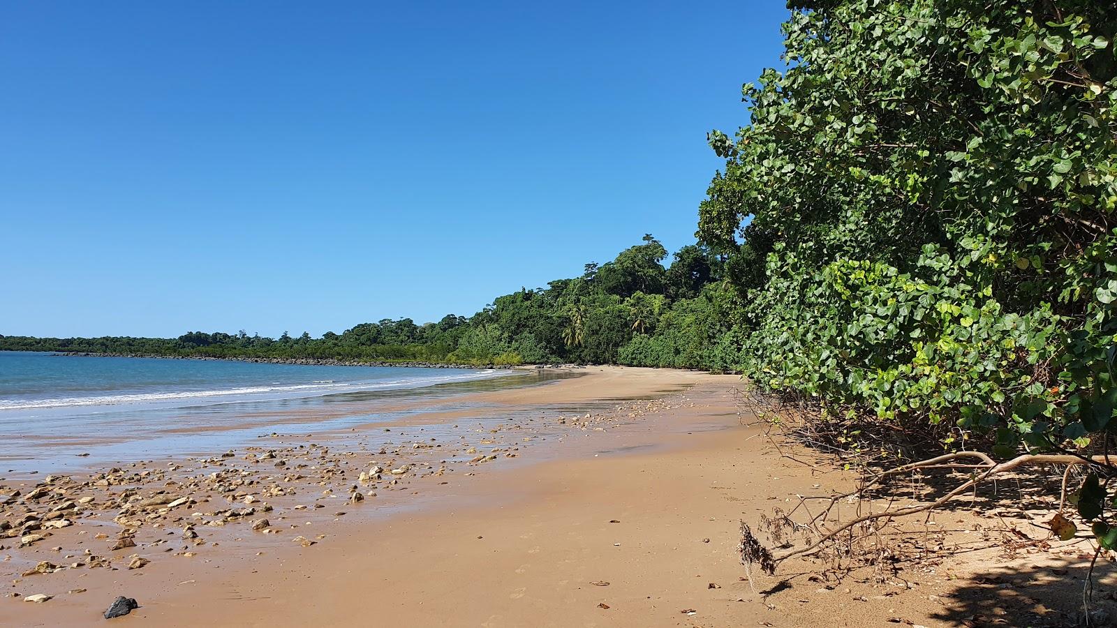 Sandee Narragon Beach