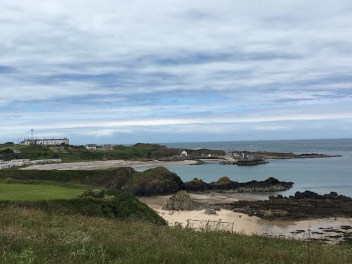 Sandee Ballygormam Cove Photo