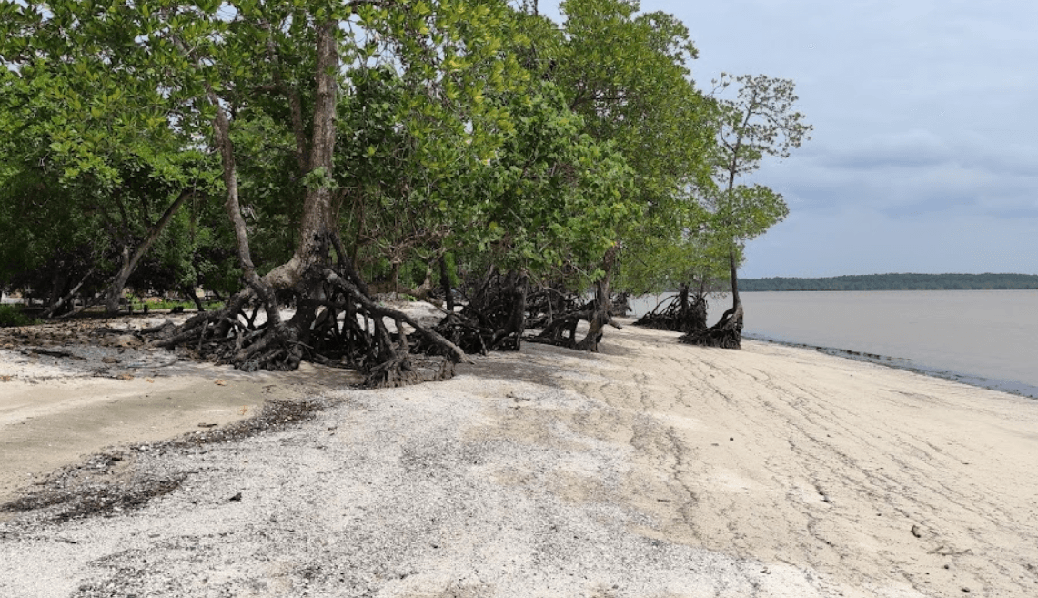 Sandee Pantai Pasir Putih Dan Goa Belanda