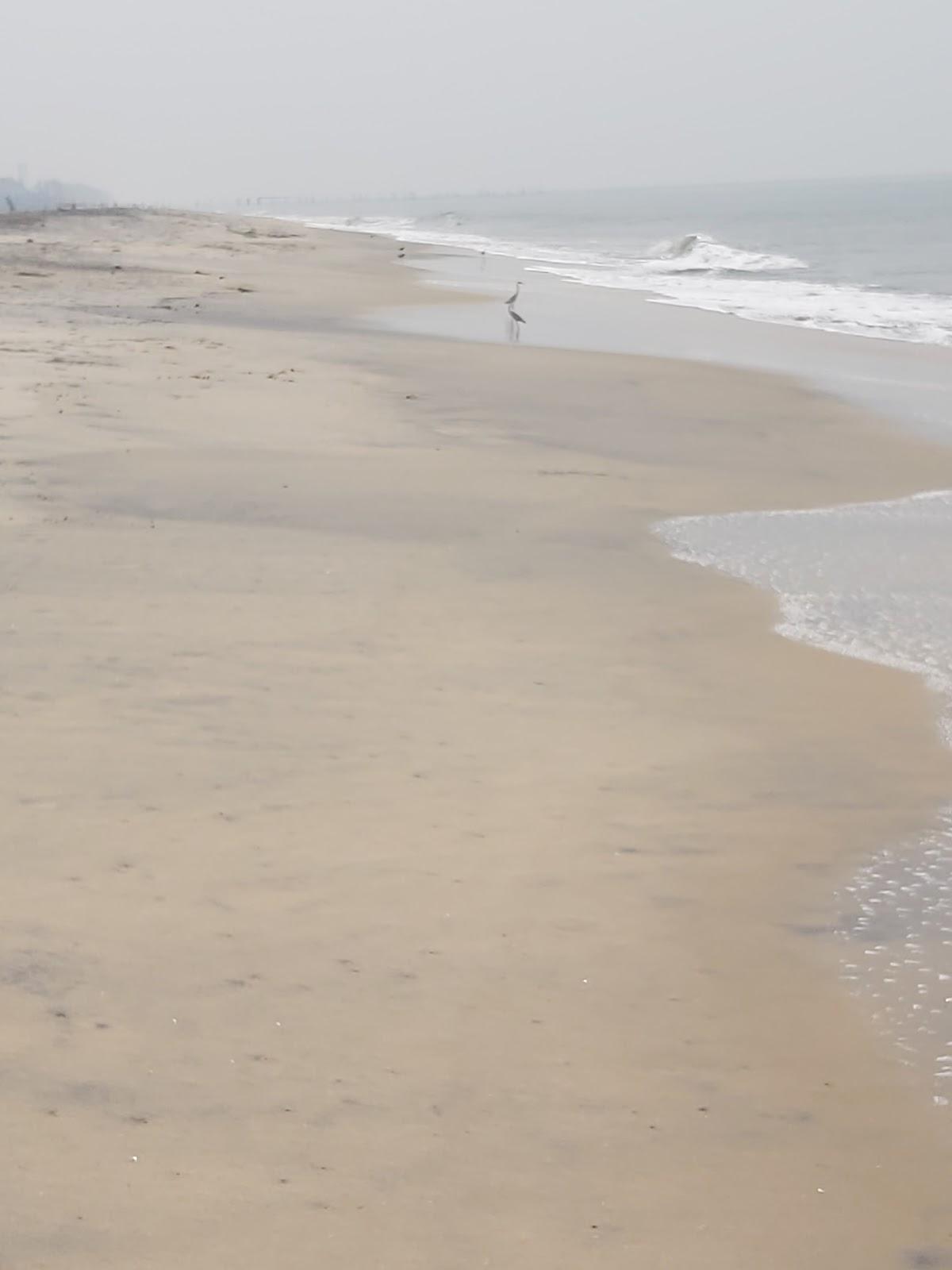Sandee Vikasanam Beach