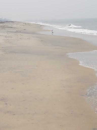Sandee Vikasanam Beach Photo