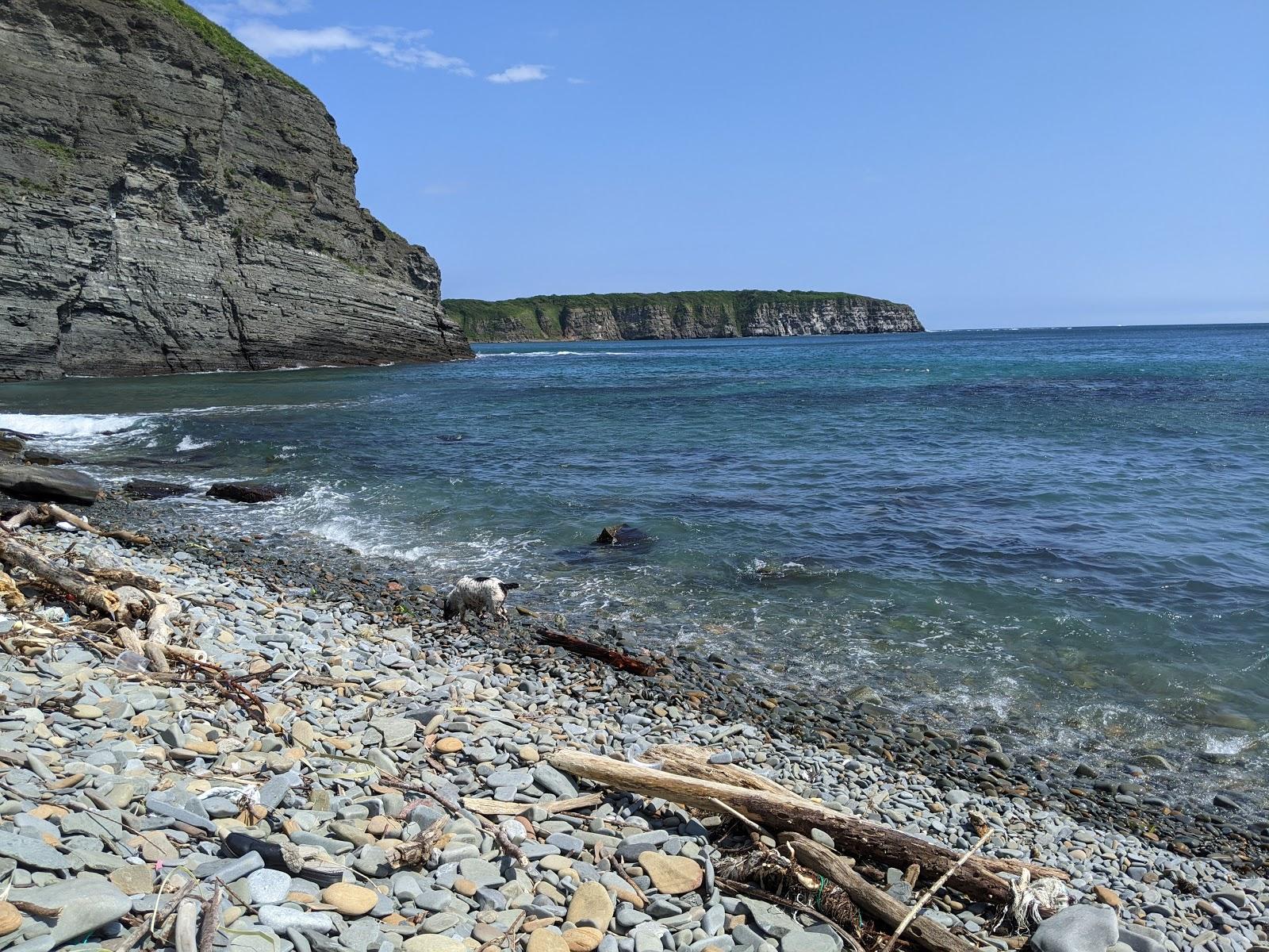 Russky Island Photo - Sandee