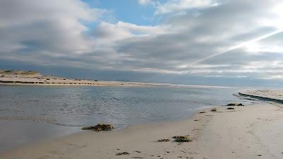 Sandee - Imperial Beach