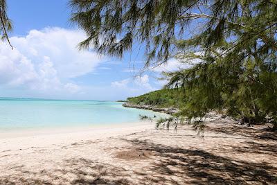 Sandee - Coconut Cove Beach