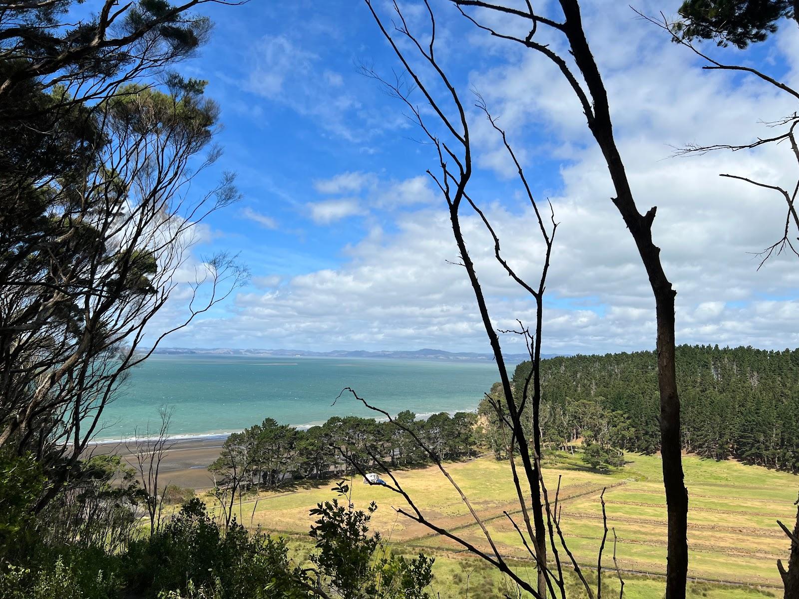 Sandee Mosquito Beach Photo