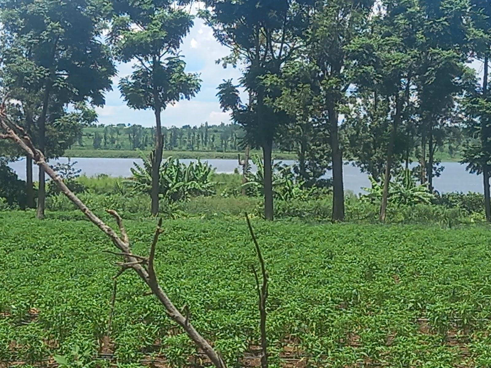 Sandee Lake Gaharwa