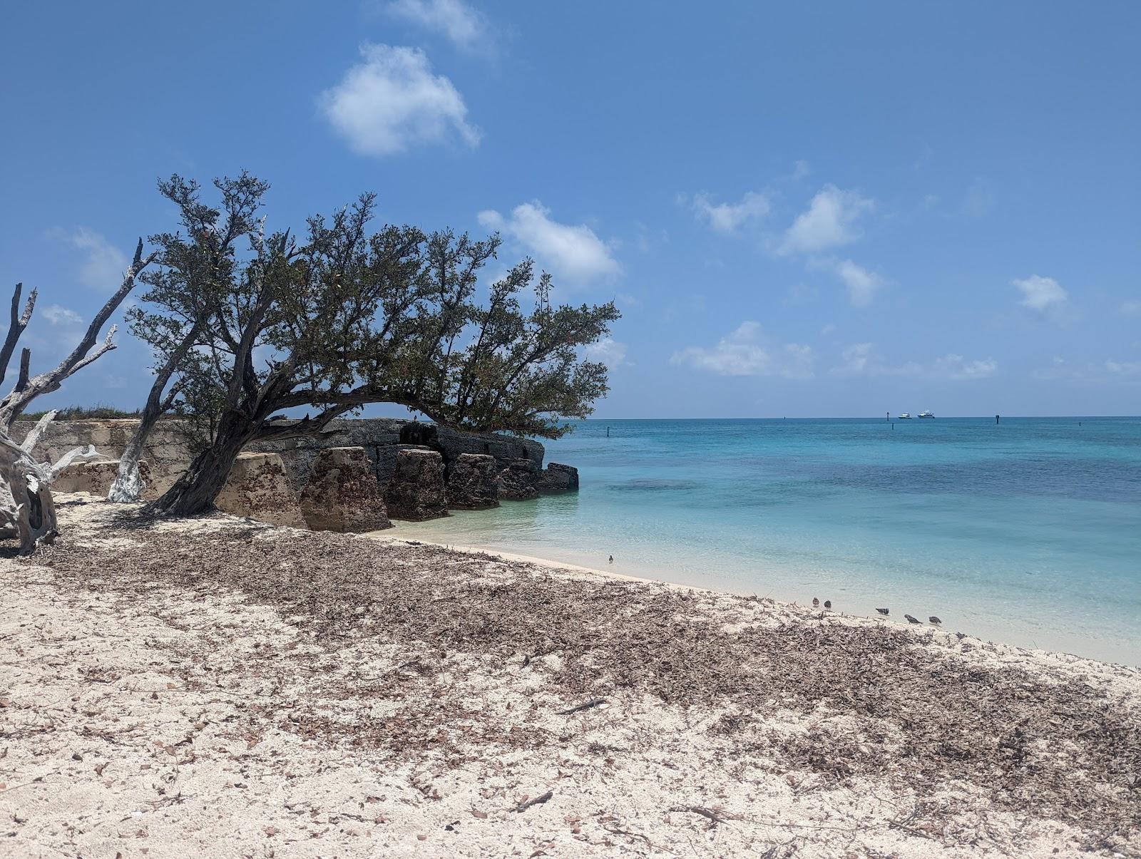 Sandee Tortuga Park