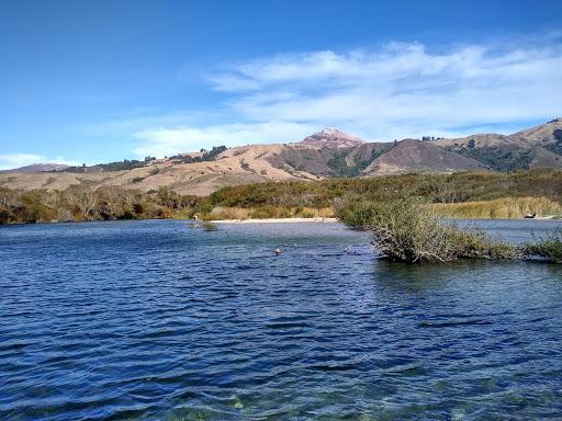 Sandee - Andrew Molera State Park