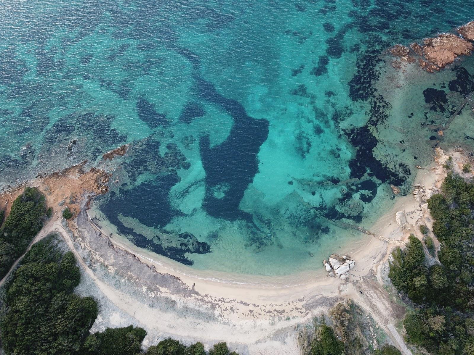 Sandee Spiaggia Tre Monti