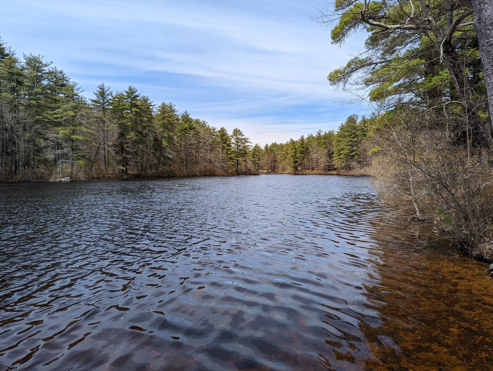 Sandee - Pawtuckaway State Park