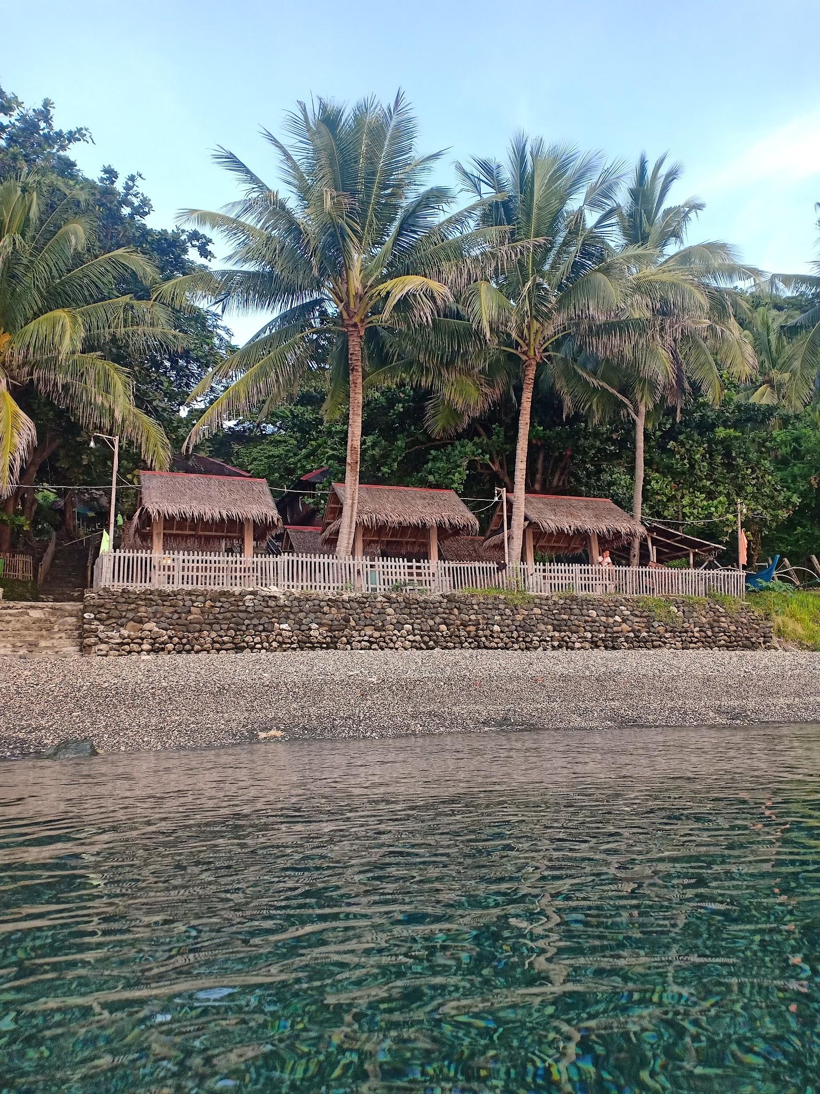 Sandee - Tobog Beach Resort