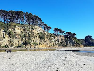 Sandee - Dotterel Point Reserve