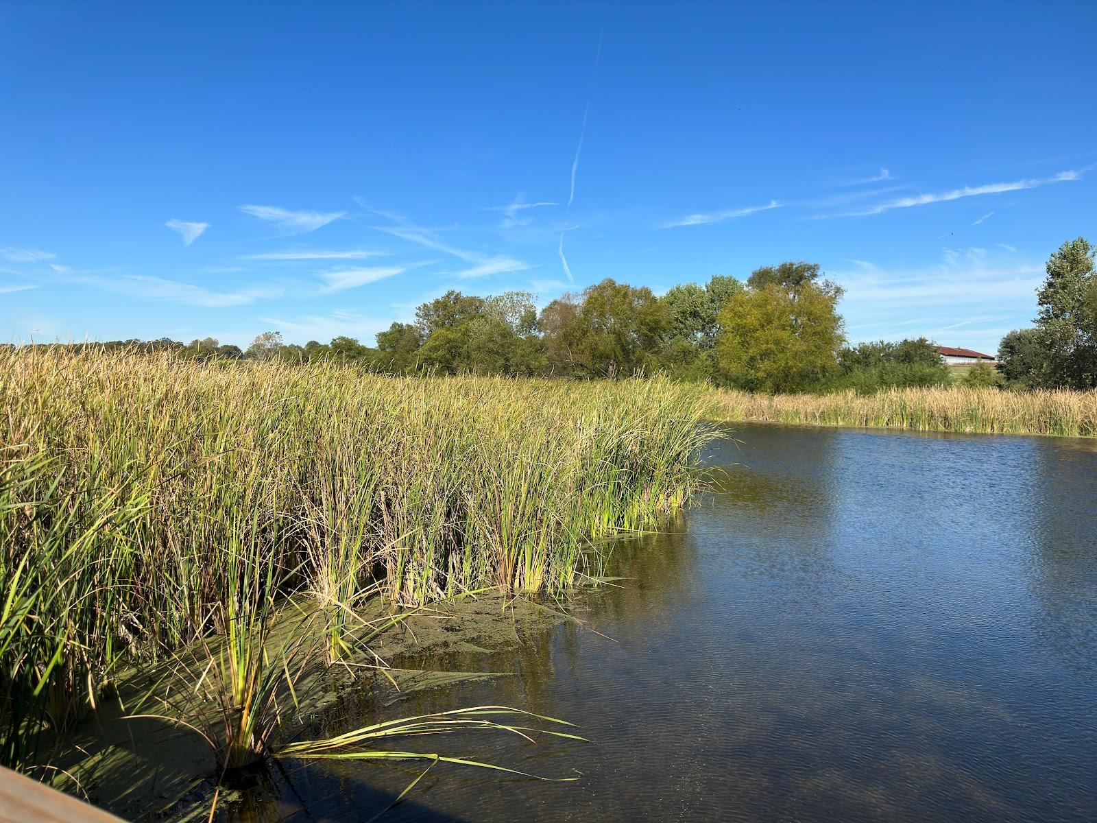 Sandee - Sand Beach Wetlands Conservation Area