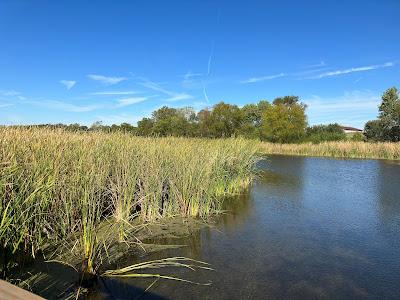 Sandee - Sand Beach Wetlands Conservation Area