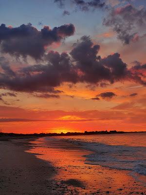 Sandee - Roy Carpenter's Beach