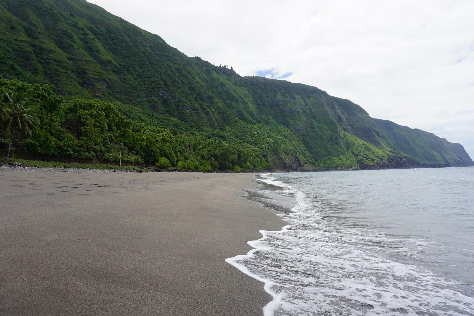 Sandee - Awahua Beach