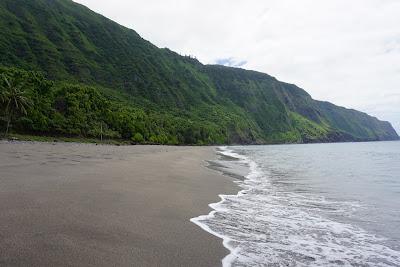 Sandee - Awahua Beach