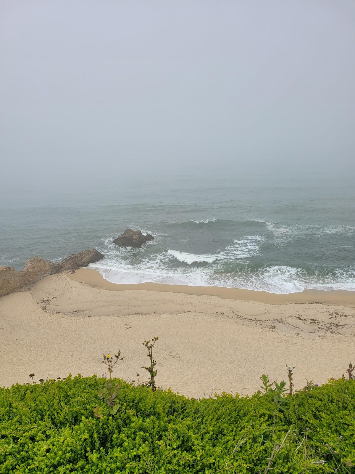 Sandee - Cowell Ranch Beach