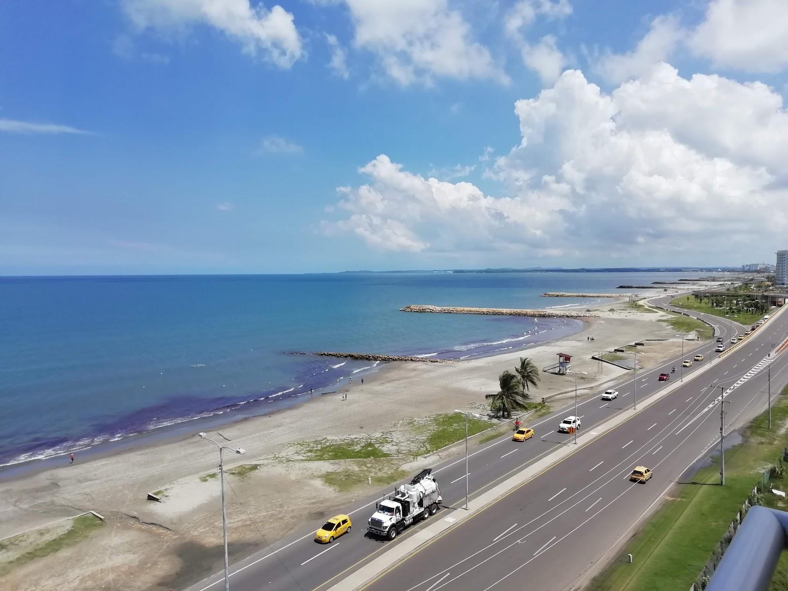 Sandee Playas De Marbella