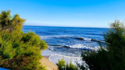 Sandee - Praia Do Cabo Mondego