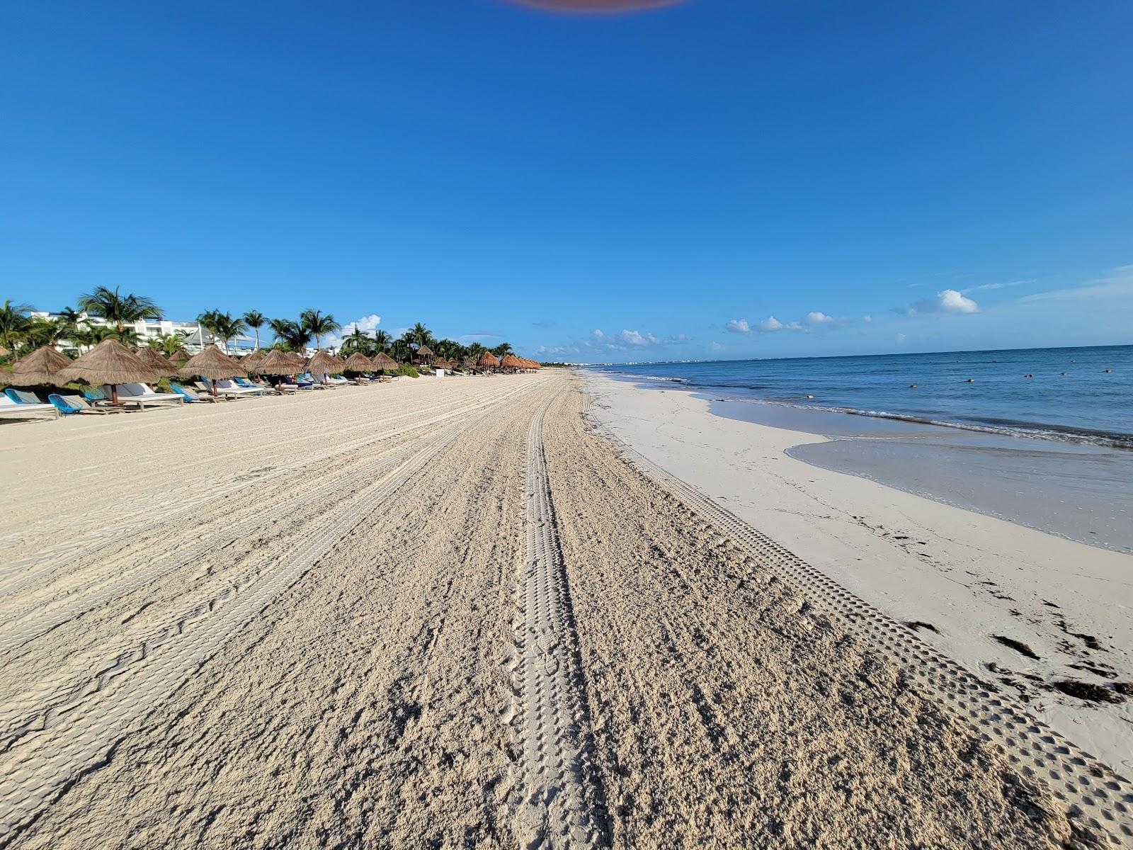Sandee Playa Amada