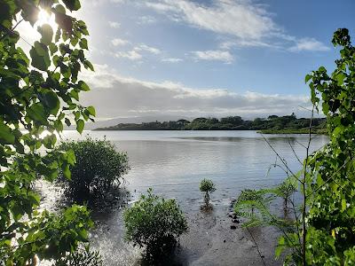 Sandee - Aiea Beach Park